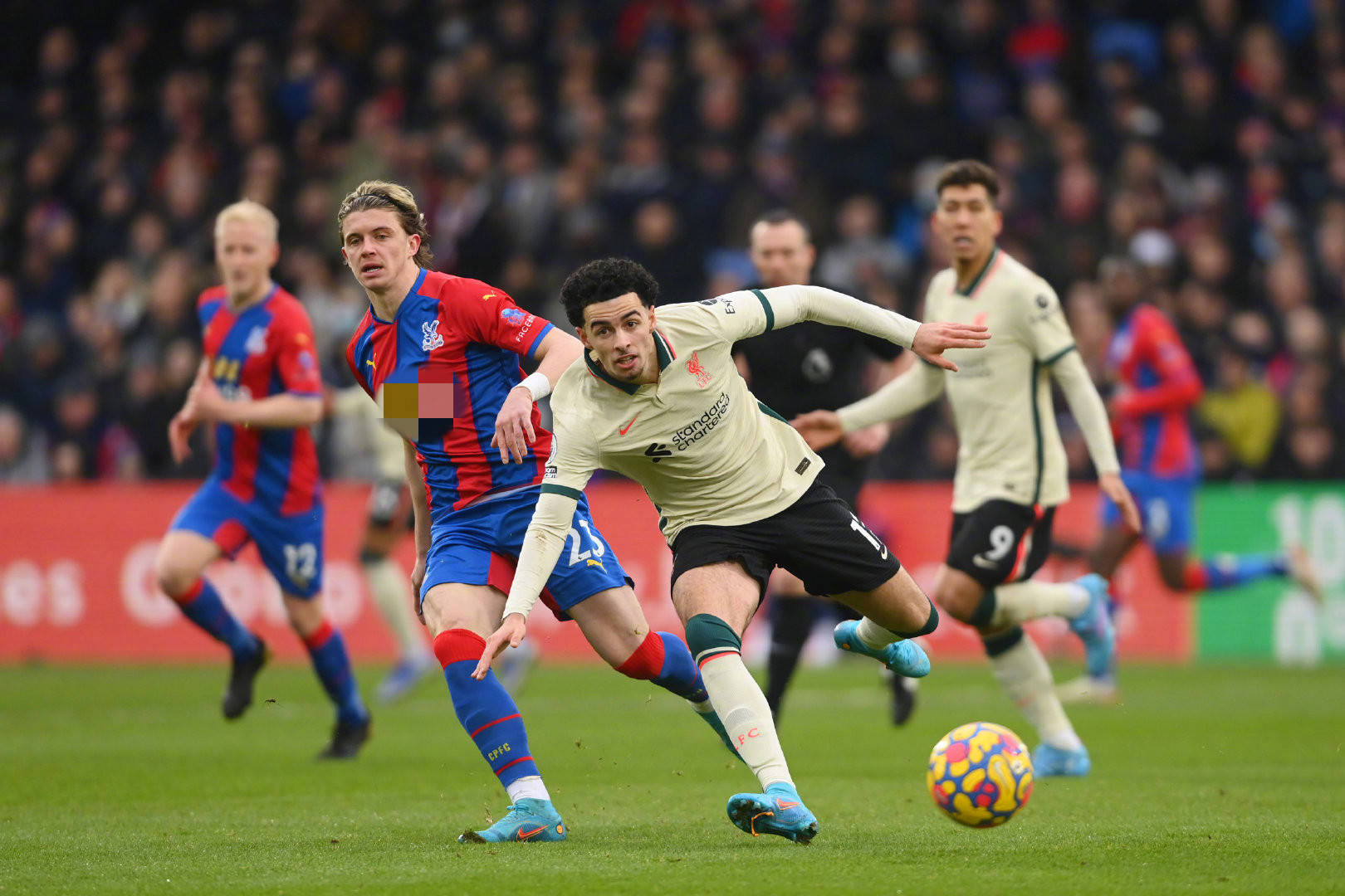 期间将家里 期间将家里